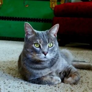 Meet your Posher, Linda